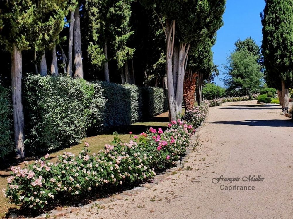 � vendre  Propri�t�/ch�teau Les M�es (04190)