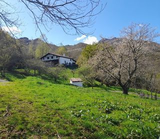  Propri�t�/ch�teau � vendre 8 pi�ces 220 m�