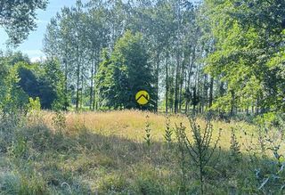  Maison � vendre 7 pi�ces 254 m�