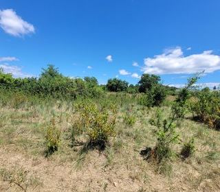  Terrain � vendre 1075 m�