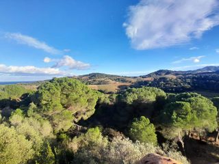  Propri�t�/ch�teau � vendre 8 pi�ces 264 m�