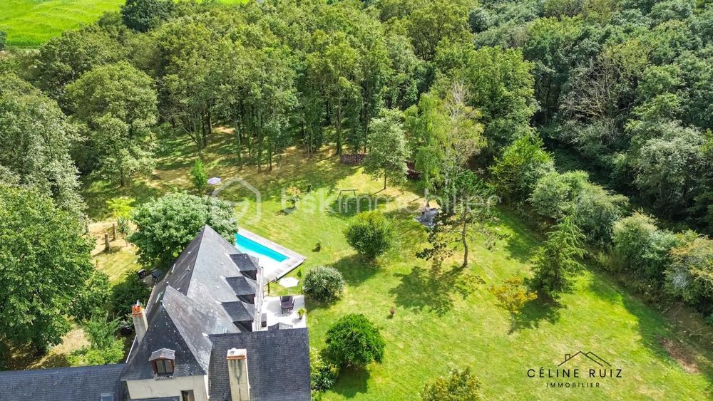 � vendre  Propri�t�/ch�teau Angers (49100)