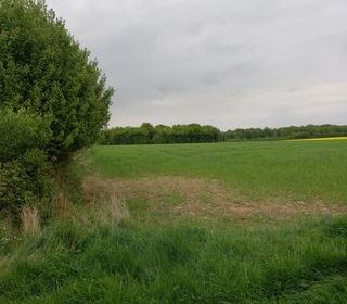  Terrain � vendre 2924 m�