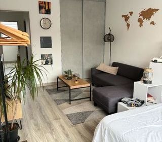  Appartement � vendre 1 pi�ce 34 m�