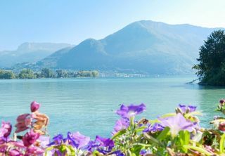  Appartement � vendre 2 pi�ces 52 m�