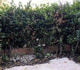  Appartement � louer 1 pi�ce 22 m�