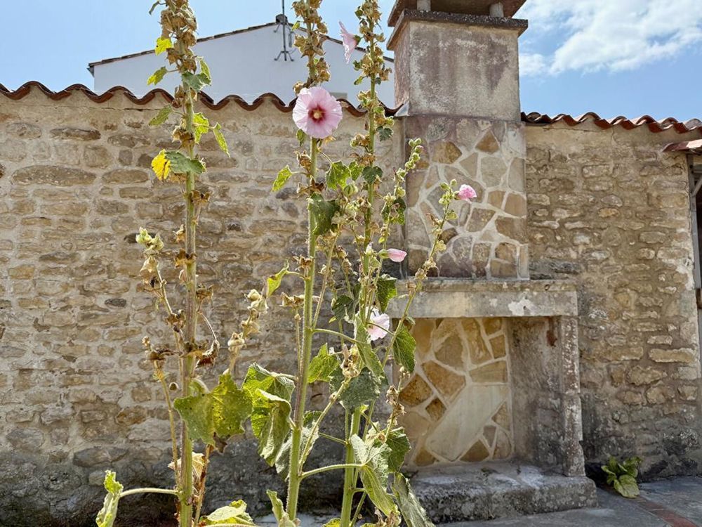 � vendre  Maison Loix (17111)