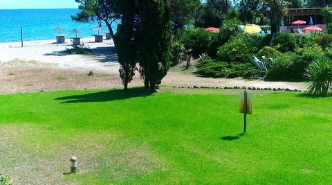   Le coeur de Moriani � vos pieds : Studio  Pr�t � vivre Appartement - 1 pi�ce(s) - 23 m�