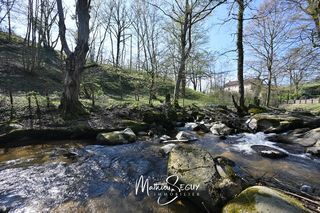  Propri�t�/ch�teau � vendre 7 pi�ces 292 m�