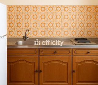  Appartement � vendre 1 pi�ce 43 m�