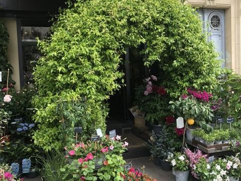 Commerces/Negoce 132000 75005 Paris