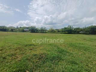  Terrain � vendre 1000 m�