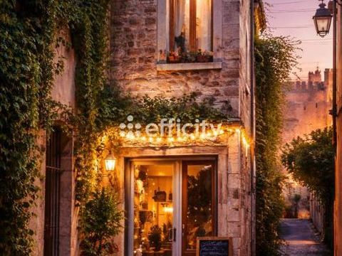 Locaux/Biens immobiliers 45000 84000 Avignon