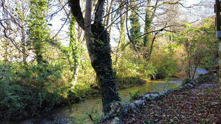  Maison � vendre 10 pi�ces 455 m�