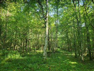  Terrain � vendre 107573 m�