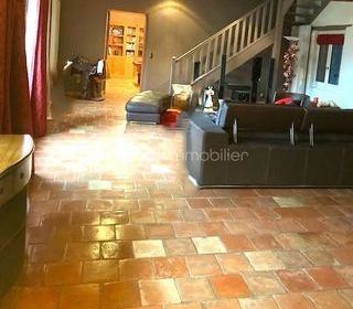  Propri�t�/ch�teau � vendre 11 pi�ces 368 m�