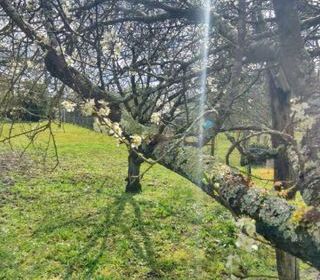  Terrain � vendre 640 m�