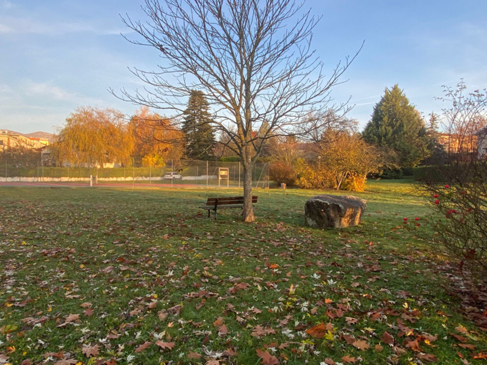 � vendre  Appartement Ferney-Voltaire (01210)