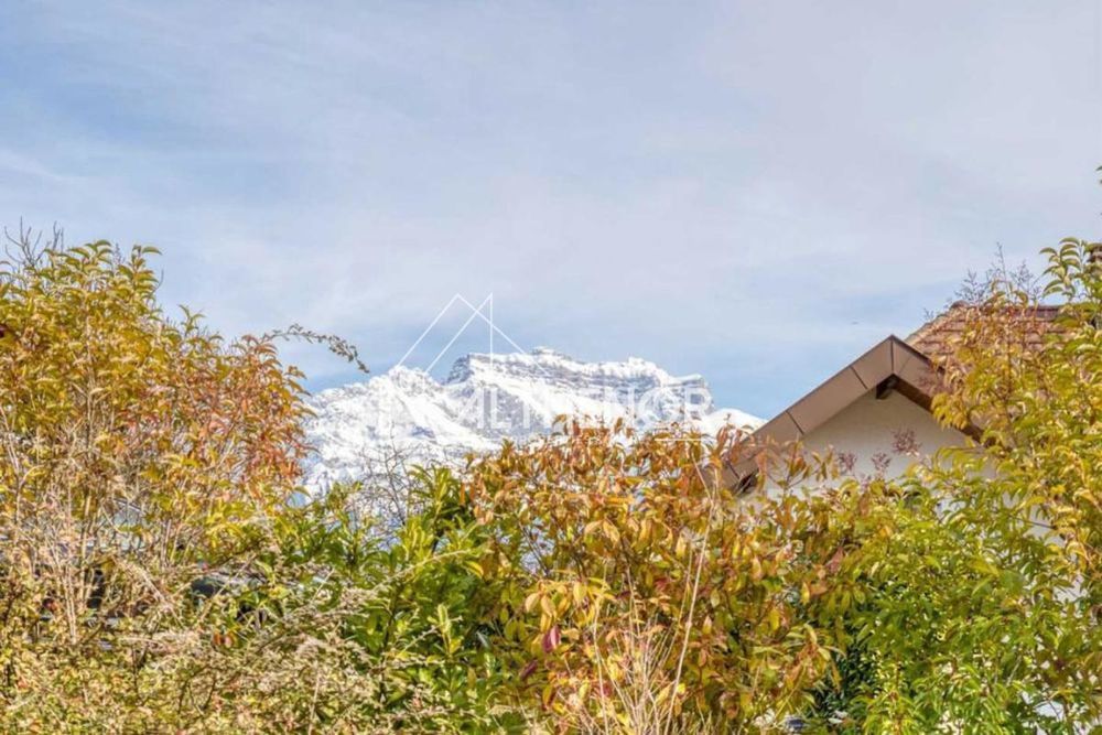 � vendre  Propri�t�/ch�teau S�vrier (74320)