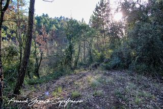  Terrain � vendre 55050 m�