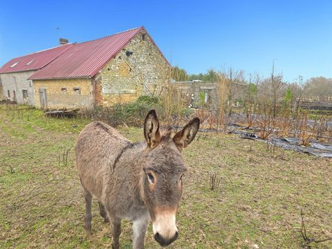   Long�re Ste Scolasse Sur Sarthe 3 chambres 184 m2 d�pendances, 20 boxes Maison - 7 pi�ce(s) - 184 m�