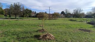  Terrain � vendre 715 m�