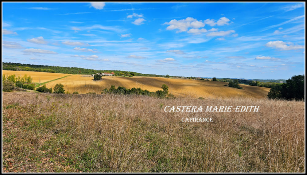 � vendre  Propri�t�/ch�teau Vic-Fezensac (32190)