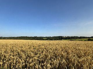  Maison � vendre 1 pi�ce 1600 m�