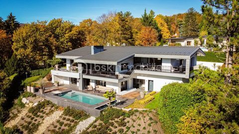  Villa � vendre 7 pi�ces 300 m�