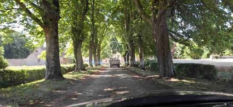  Propri�t�/ch�teau � vendre 15 + pi�ces 1200 m�