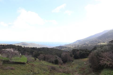   Maison de Charme Ancienne avec Vue sur Mer � Sisco(20) Maison - 8 pi�ce(s) - 152 m�