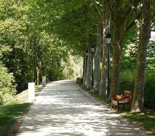  Appartement � louer 1 pi�ce 15 m�