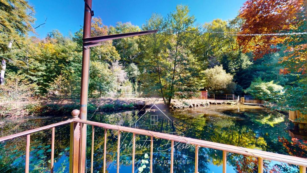 � vendre  Propri�t�/ch�teau Carcassonne (11000)