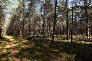  Propri�t�/ch�teau � vendre 12 pi�ces 280 m�