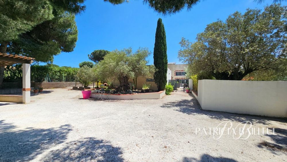 � vendre  Villa Saint-Cyprien (66750)