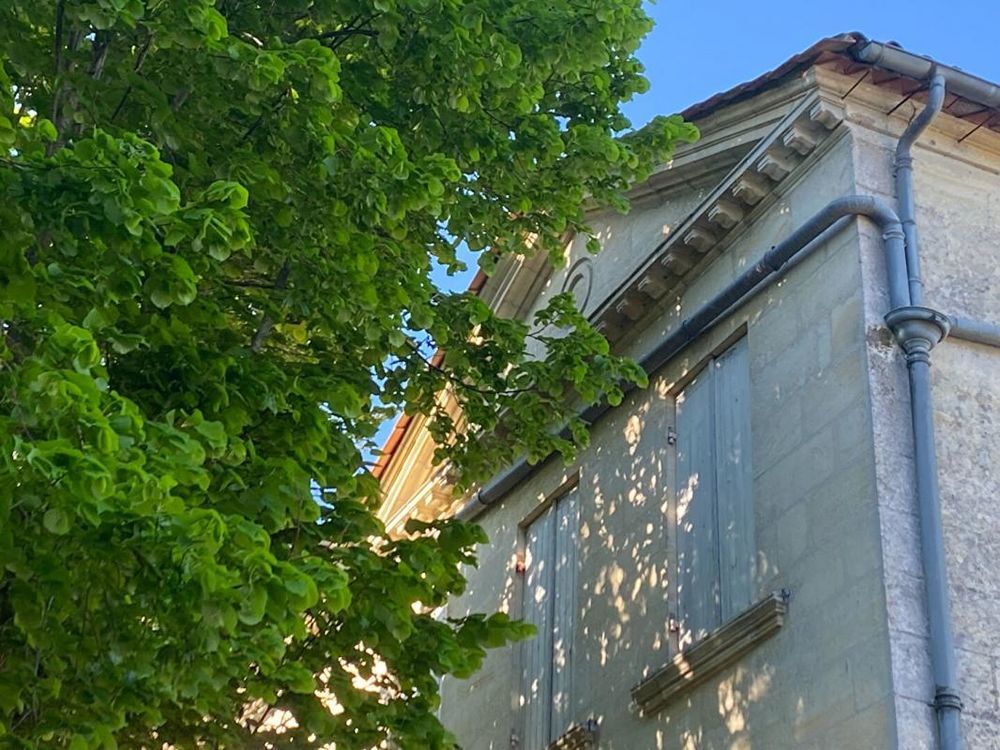 � vendre  Propri�t�/ch�teau Fronsac (33126)