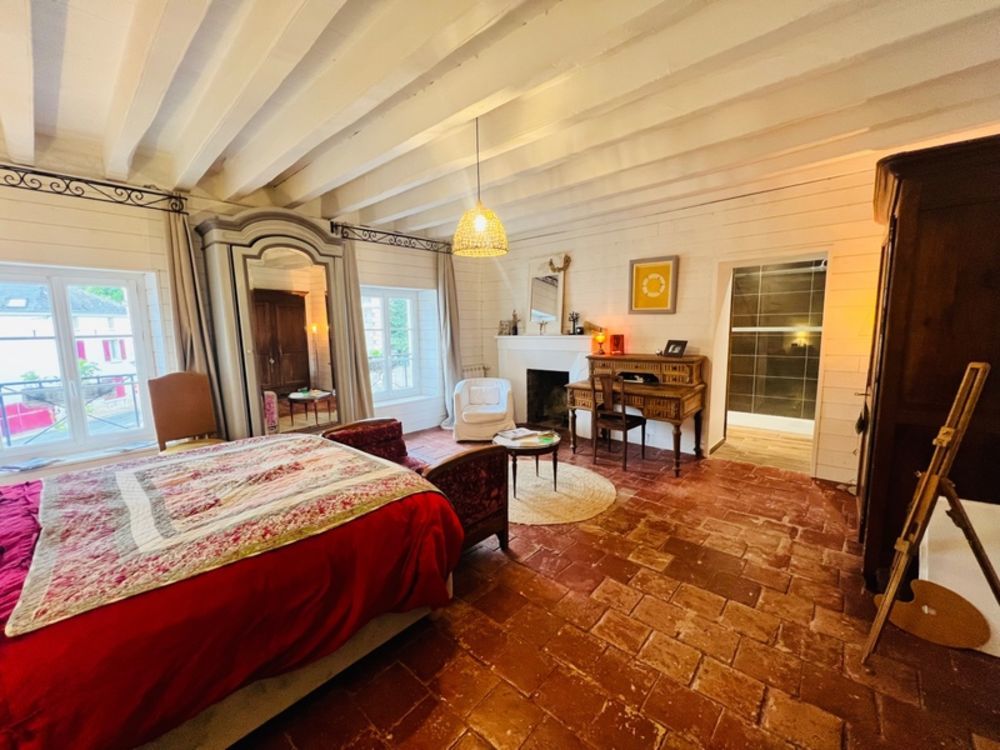 � vendre  Propri�t�/ch�teau Les Ormes (86220)