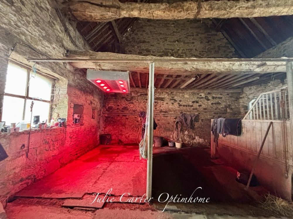 � vendre  Propri�t�/ch�teau Avoine (61150)