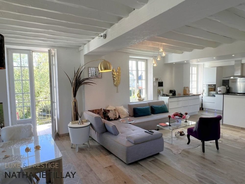 � vendre  Propri�t�/ch�teau Orl�ans (45000)