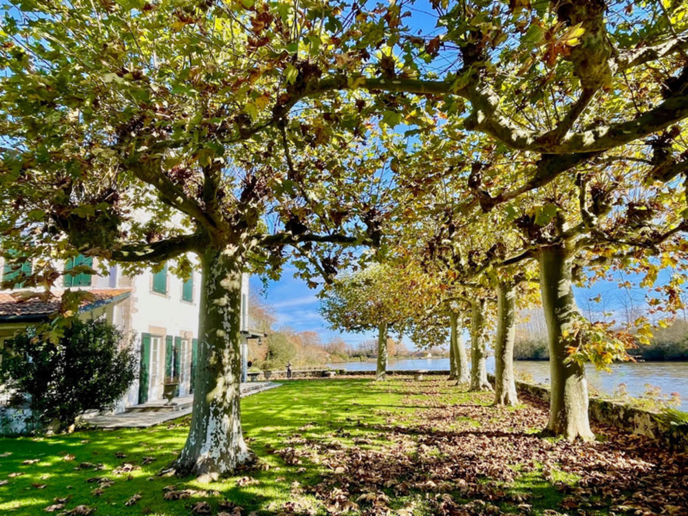 � vendre  Propri�t�/ch�teau Saint-Martin-de-Seignanx (40390)