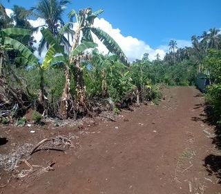  Terrain � vendre 596 m�