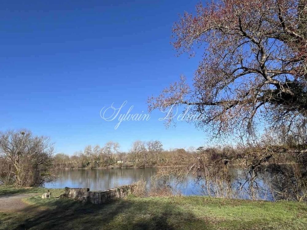 � vendre  Propri�t�/ch�teau Amboise (37400)