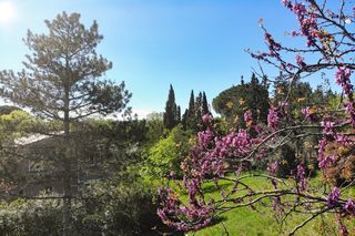  Villa � vendre 9 pi�ces 174 m�