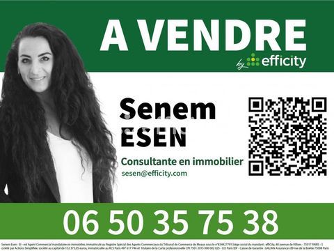 Locaux/Biens immobiliers 170000 77500 Chelles