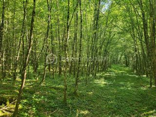  Terrain � vendre 107573 m�