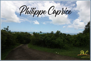  Terrain � vendre 43000 m�