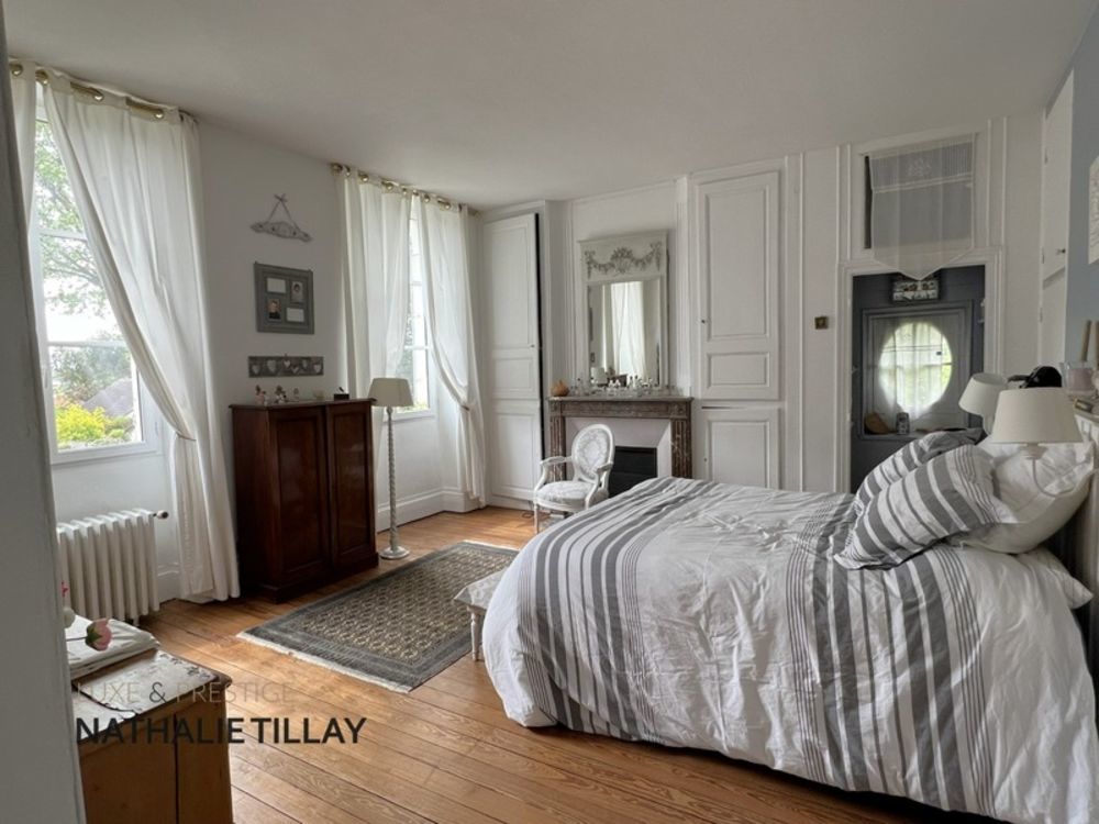 � vendre  Propri�t�/ch�teau Saint-Jean-le-Blanc (45650)