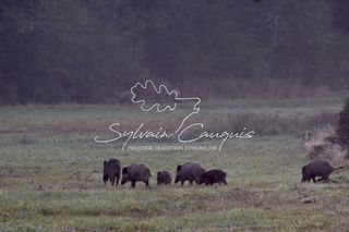  Propri�t�/ch�teau � vendre 15 + pi�ces 800 m�