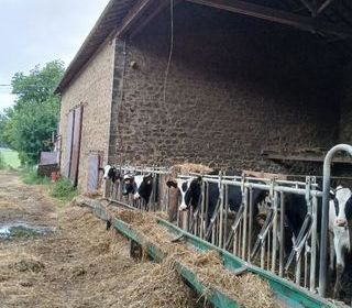  Propri�t�/ch�teau � vendre 5 pi�ces 144 m�