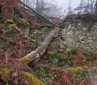  Remise / Grange � vendre 1 pi�ce 60 m�